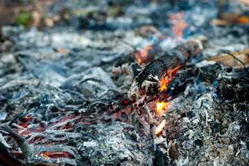 Close up of the pile of vines. After the burning of the log on blurred background.