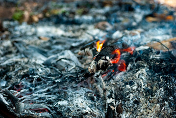 Close up of the pile of vines. After the burning of the log on blurred background.