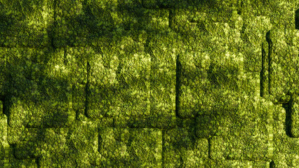 The 3D surface of the wall is covered with green moss with an eco-friendly nature background concept. 3d render.