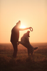 silhouette of an australian shepherd dog sitting jumping for a toy with a woman against a setting...