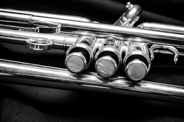Naklejka premium trumpet close up
