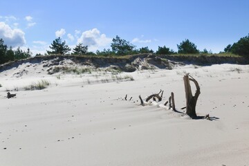 The coast of the Baltic Sea near Leba destination and Slovenian National Park with the largest sand dunes in Europe