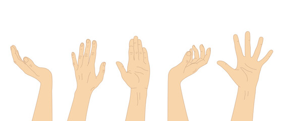 Set of different hand gestures Raised arms with open hand palm. Vector illustration - obrazy, fototapety, plakaty