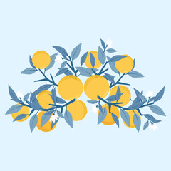 Elegant composition of branches and oranges