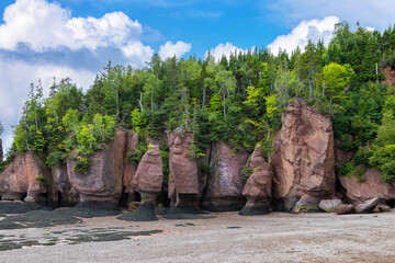 The flowerpot rock formations at Hopewell Rocks, Bay of Fundy, New Brunswick. The extreme tidal...