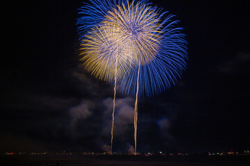 長岡の有名花火