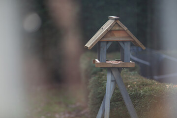 Vogelhaus steht im Garten