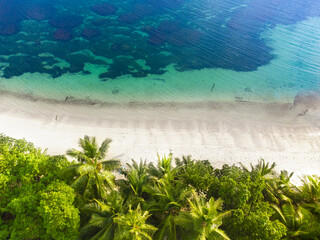 Aerial view of palm trees, white sand and blue sea in a tropical beach