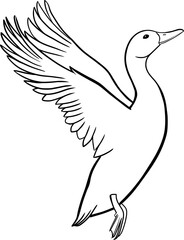 Flying duck outline illustration on transparent background	

