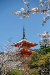 Obraz premium Pagoda of the Kiyomizudera Temple, the Kiyomizudera is a Buddhist temple in Kyoto, Japan.