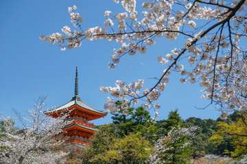 Pagoda of the Kiyomizudera Temple, the Kiyomizudera is a Buddhist temple in Kyoto, Japan.