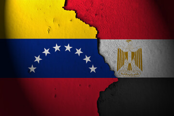 Relations between venezuela and egypt