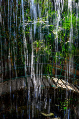 Rain and sunlight over a bridge in a tropical garden