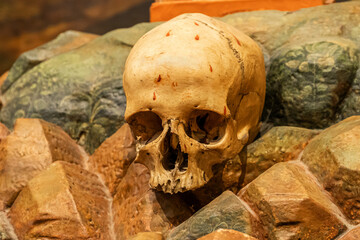 Human skull on Calvary, symbol of the crucifixion and death of Christ, but which will become life...
