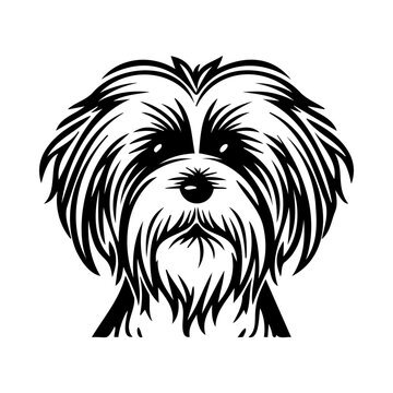 Havanese dog black silhouette logo svg vector, Havanese icon illustration.