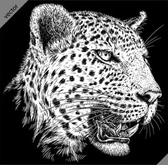 Vintage engraving isolated leopard set panther illustration ink sketch. Africa wild cat cheetah background jaguar animal silhouette art. Black and white hand drawn vector image