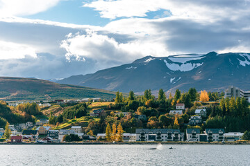View of the city of Akureyri, north of Iceland.