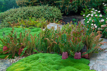 Fototapete bei efototapeten.de bestellen   