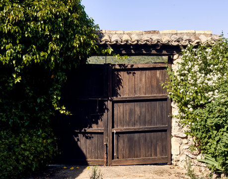 Ivy (Hedera), lilies (Iris) and celinda (Philadelphus coronarius) frame a wooden gate with a roof in the patio of a town house.