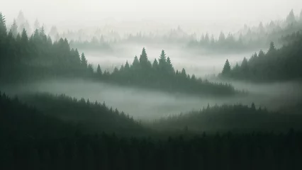 Poster Mystical gloomy coniferos forest in the fog © Garadel