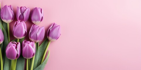 Bouquet of purple tulips on a pink background, top view, space for text. Generative AI