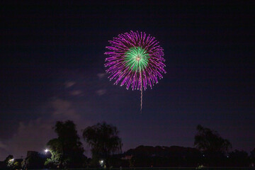 東海市の夏の風景