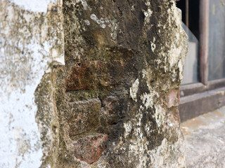 close up of old walls that are damaged and moss covered
