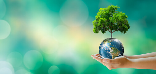 Hand holding tree on the world with sunny green grass bokeh background. Save clean planet, Save...