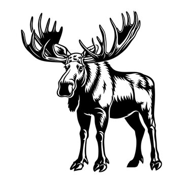 vector moose on white background, generative ai.