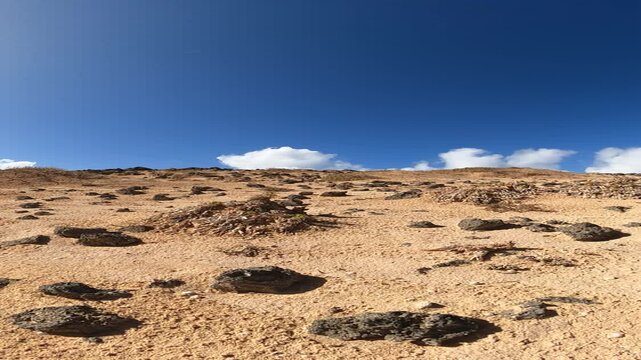 ammirare la bellezza del deserto sabbioso, isola incontaminata