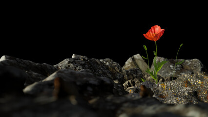3D tulip on the rock in the morning. background