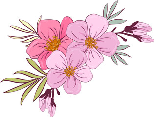pink flowers. Romantic floral summer season beautiful card. on transparent, png. Floral festive pink flowers