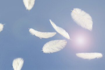 Abstract, Soft white feather floating in the air, on a blue background.