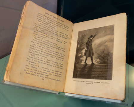 Anne of Green Gables first edition, illustrated, 1908 novel by Canadian author Lucy Maud Montgomery (published as L. M. Montgomery).