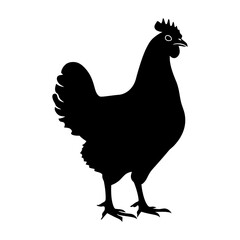 Fototapeta na wymiar Silhouette chicken black color only