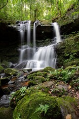 Waterfall cascading through a lush forest, surrounded by verdant greenery and rocks, embodying the serene beauty and motion of nature