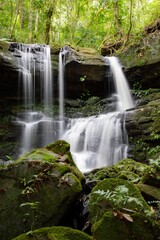 Waterfall cascading through a lush forest, surrounded by rocks and greenery, embodying the essence of nature's beauty