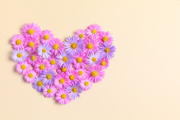 Heart made of pink and purple asters flowers on beige background. Creative spring idea, stylish trendy greeting card. Natural minimal concept. Flowers heart. Flat lay, top view.