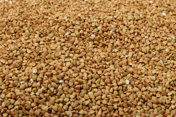 Green buckwheat background isolated on a white background. Superfood. Raw buckwheat porridge. Healthy vegan food, eco products, diet, organic.