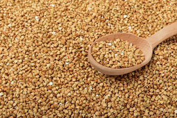 Green buckwheat background isolated on a white background. Superfood. Raw buckwheat porridge. Healthy vegan food, eco products, diet, organic.