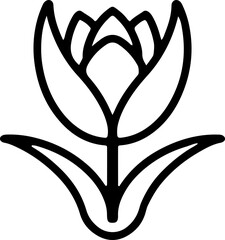 decorative flower drawing