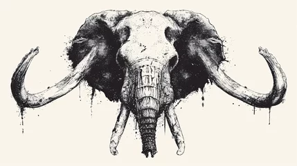 Foto op Aluminium Hand drawn illustration of an elephant skull. Black and white drawing. © korkut82