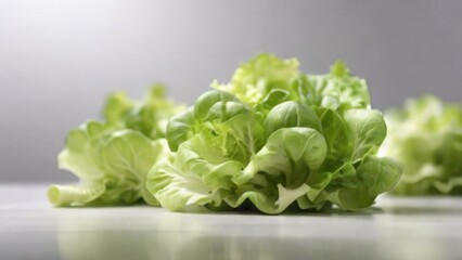 Fresh Lettuce on grey blurred background