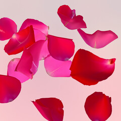 Rosas y pétalos románticos