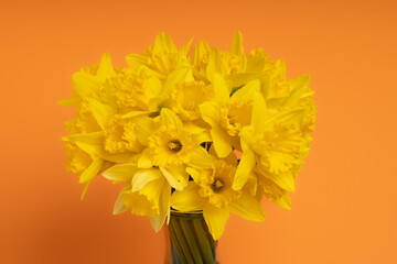 Bunch of Yellow Daffodils on an Orange Background