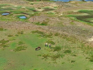 Len&ccedil;&oacute;is Paracuenses, Paracuru, Cear&aacute; Brasil
