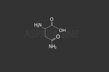 Asparagine molecular skeletal chemical formula.