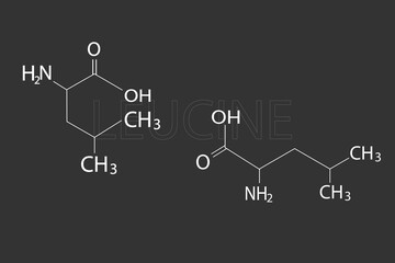 Leucine molecular skeletal chemical formula.