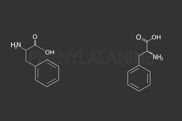 Phenylalanine molecular skeletal chemical formula.