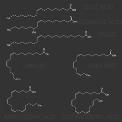 Structural chemical formulas of unsaturated fatty acids.